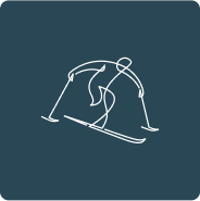 Para-Alpine Skiing Icon